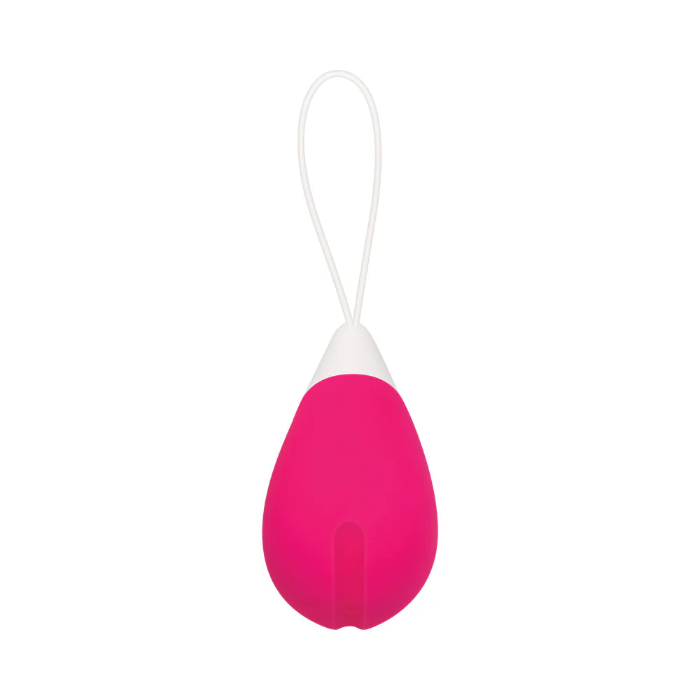 Evolved Rechargeable Remote-Controlled Silicone Egg Vibrator